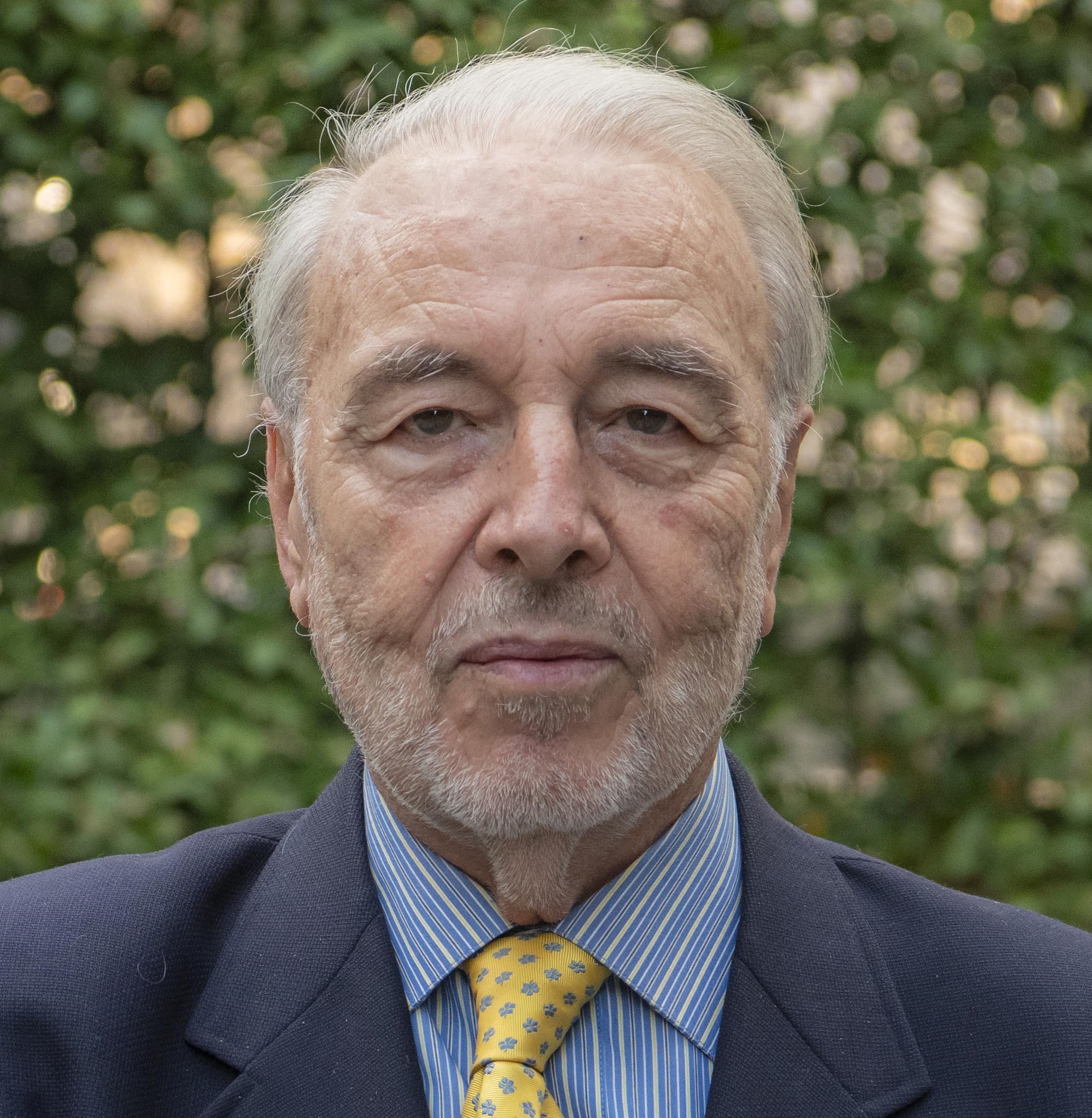 Retrato de Fernando Puell de la Villa