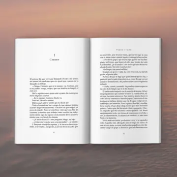 Imagen extra Los siguientes 1