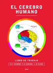 Portada El Cerebro Humano libro de trabajo