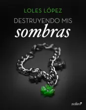 Portada Destruyendo mis sombras