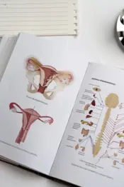 Portada Tu cuerpo, tu territorio 0