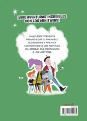 Miniatura contraportada Minitwins nº 03. ¡Qué tsunami!