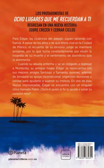 Contraportada Todo lo que no me deja olvidarte