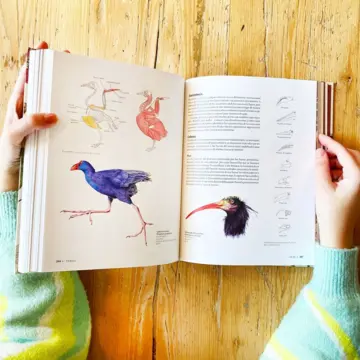 Imagen extra Manual de ilustración científica 1