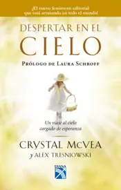 Portada Despertar en el cielo