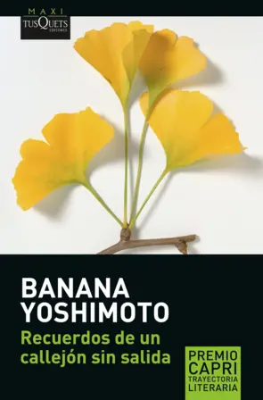 Portada Recuerdos de un callejón sin salida