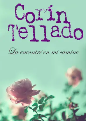 Portada La encontré en mi camino