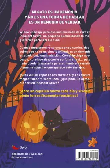 Contraportada Spooky love