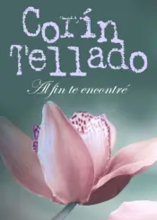 Portada Al fin te encontré