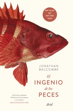 Portada El ingenio de los peces