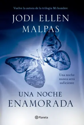 Portada Una noche enamorada