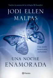 Portada Una noche enamorada