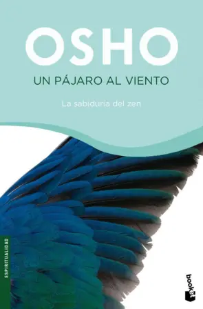 Portada Un Pàjaro al Viento (booket)
