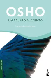 Portada Un Pàjaro al Viento (booket)