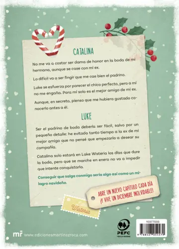 Contraportada Un amor de diciembre