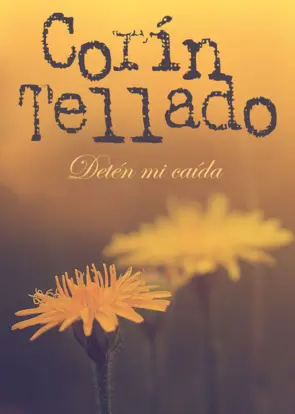 Portada Detén mi caída