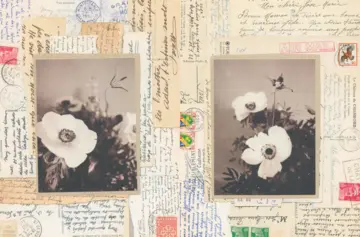 Imagen extra Anatomía de las emociones 2