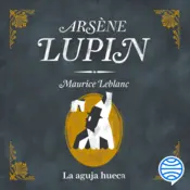 Portada La aguja hueca